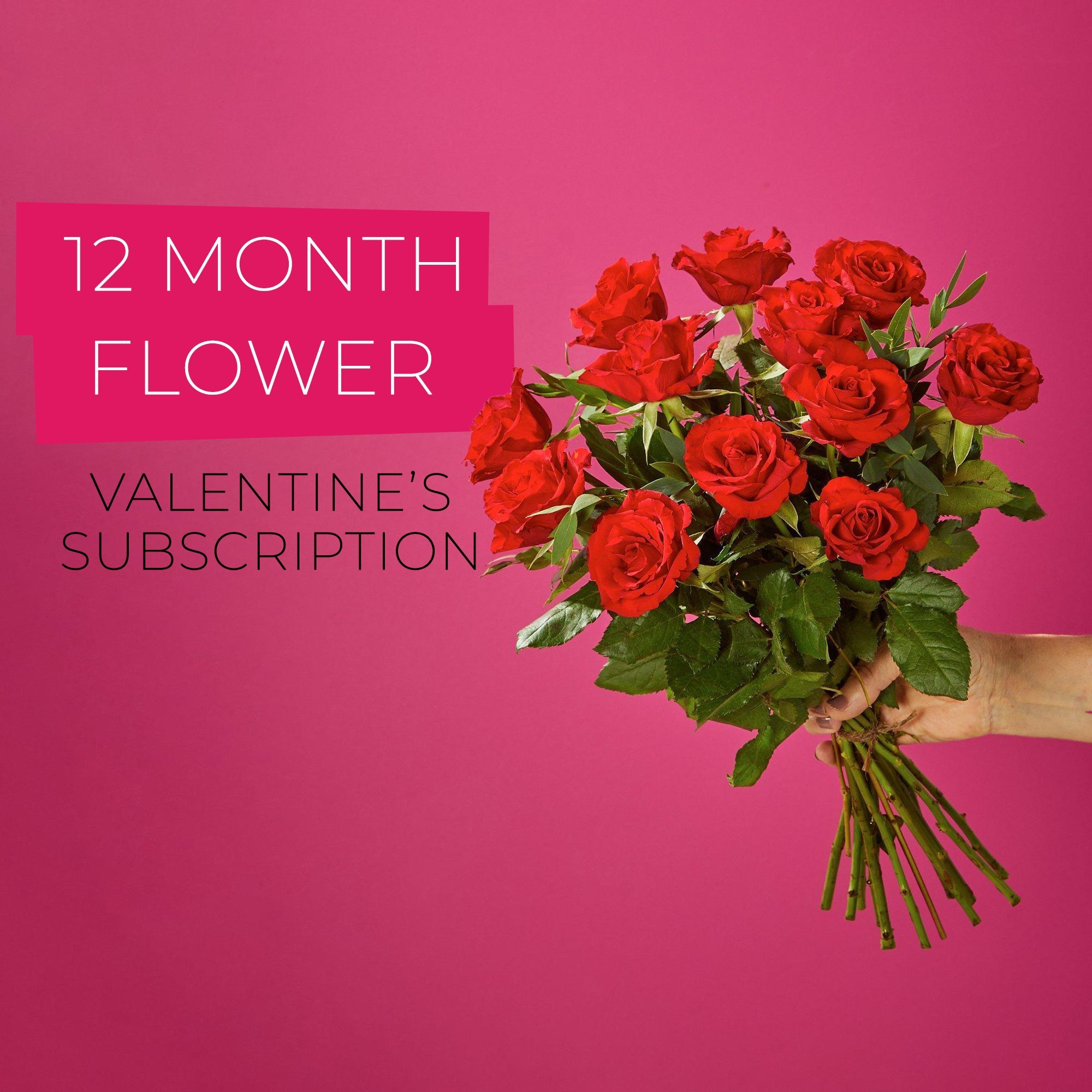 Valentine's 12 Month Flower Subscription image