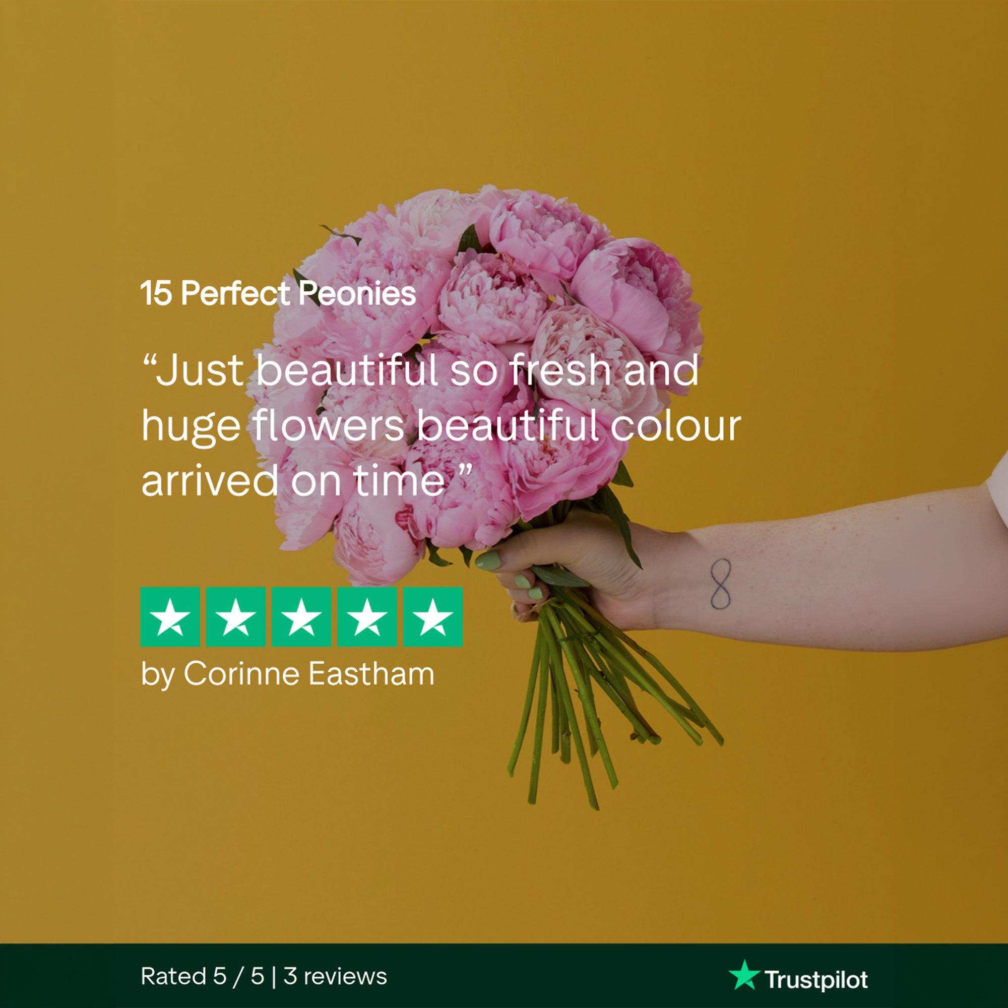 15-peonies-review