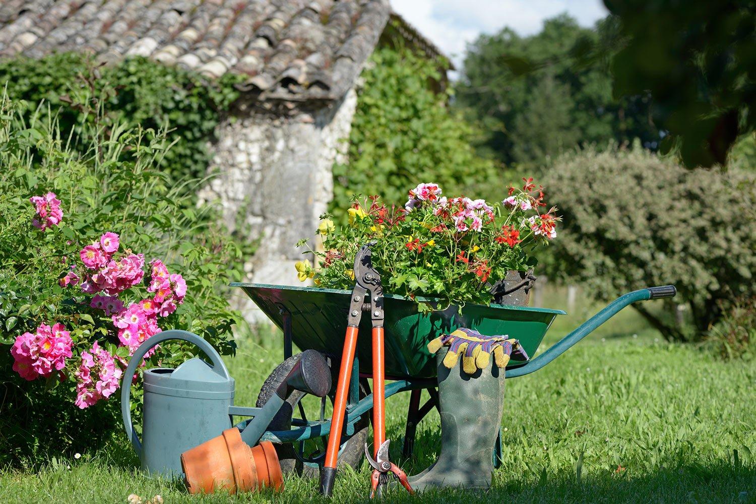 201809_about_roses_6