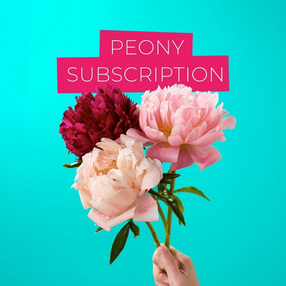 Peony 2 Month Flower Subscription