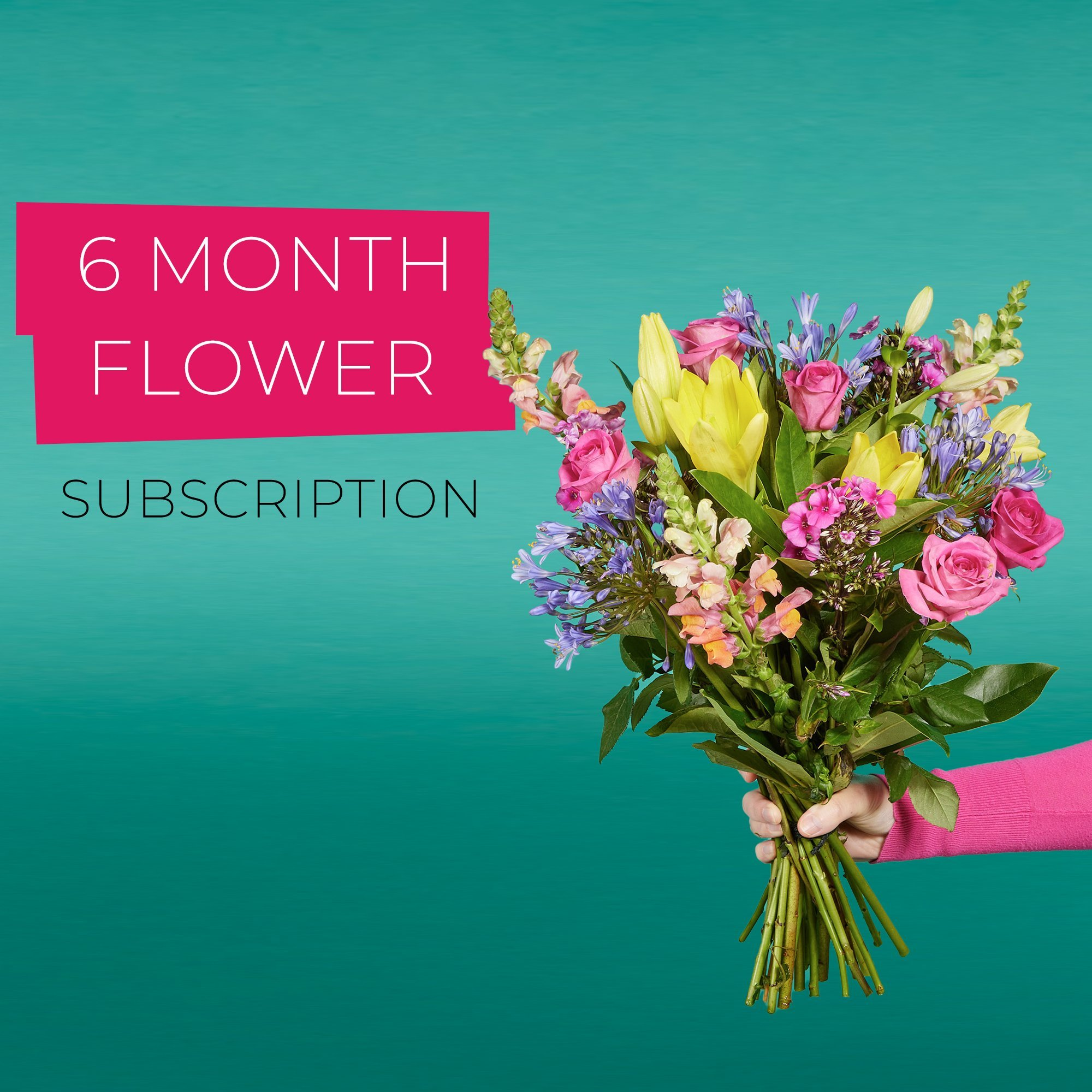 6 Month Flower Subscription image