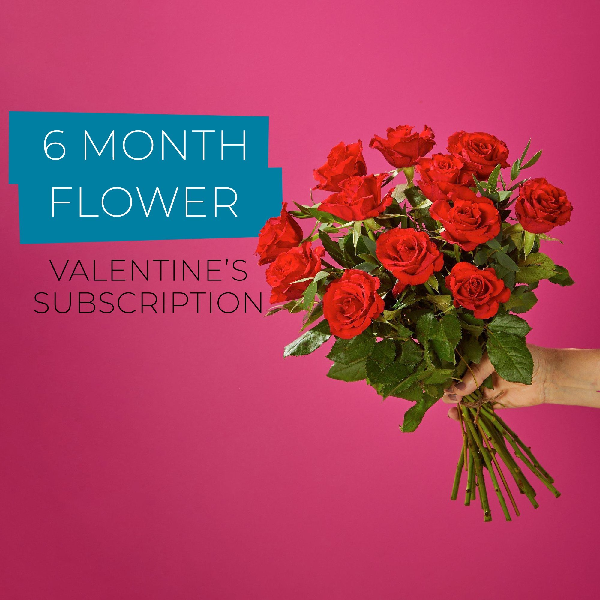 Valentine's 6 Month Flower Subscription image
