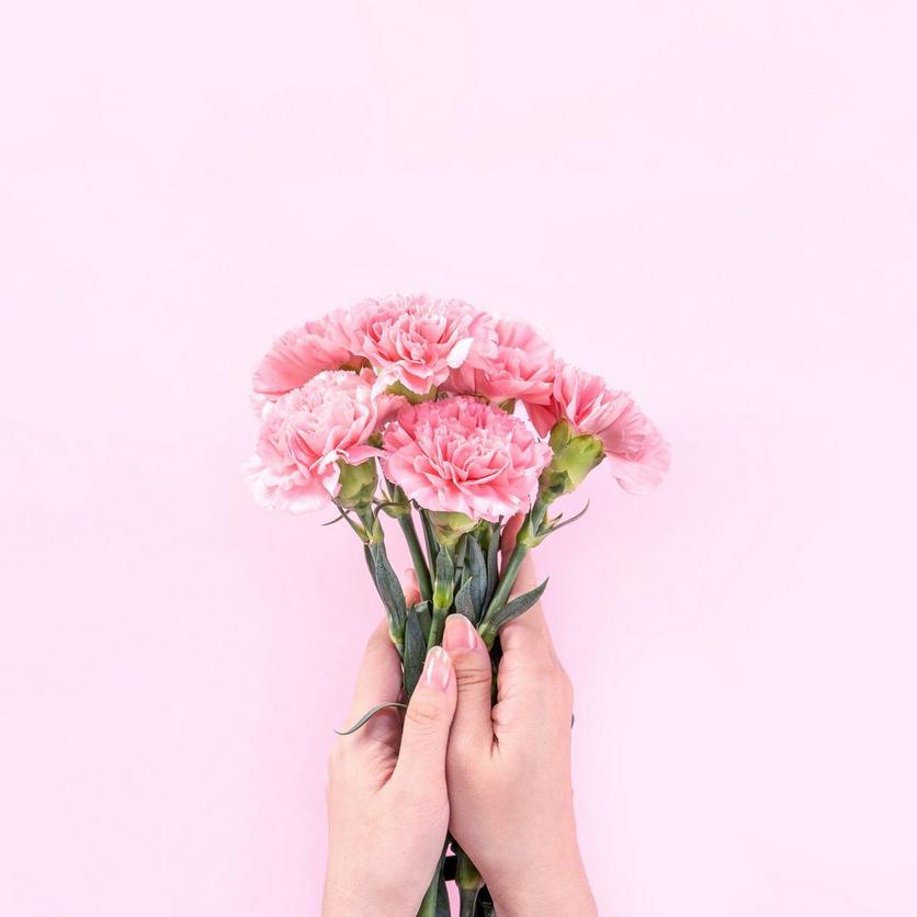 9-best-Carnations