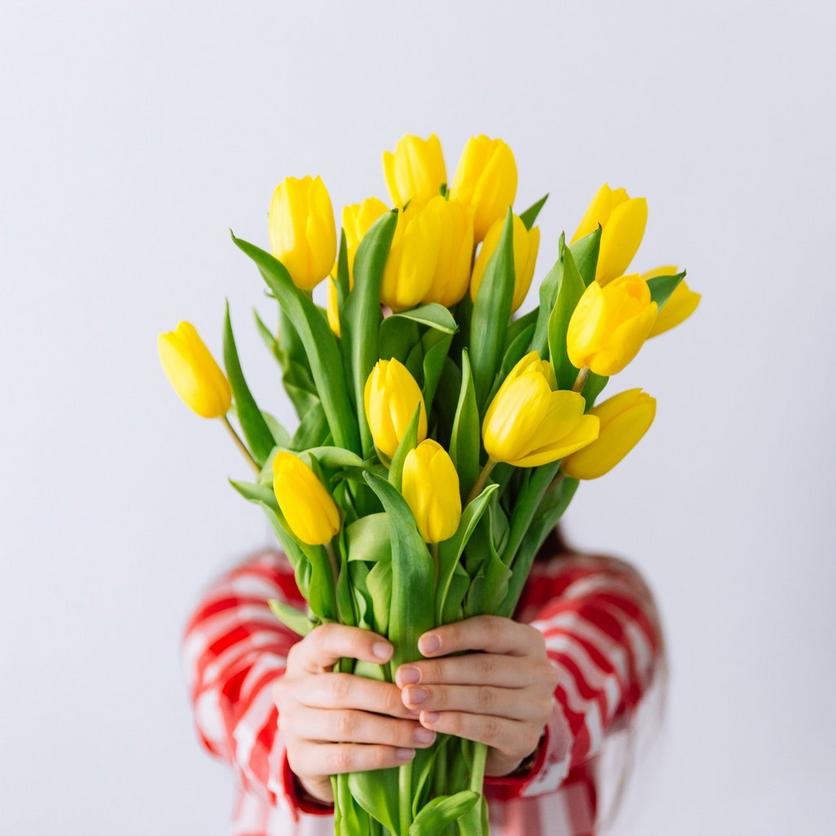 9-best-Tulips