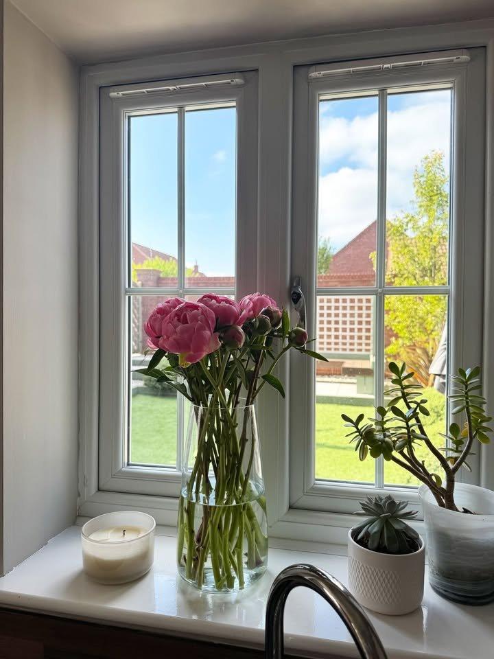 Abigail Lucy Lawson Peony Photo_1