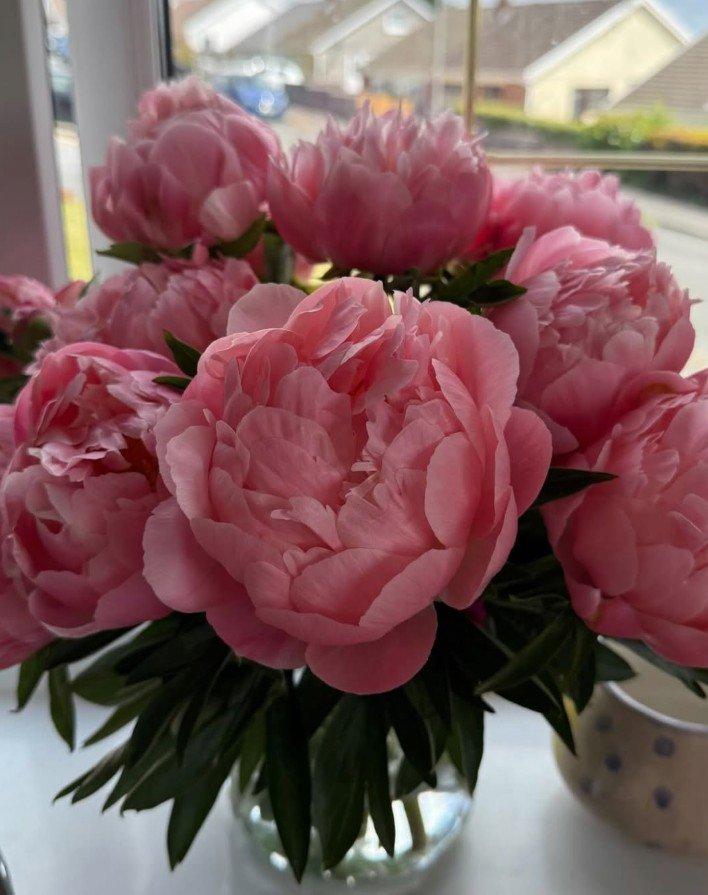 Catherine Owens Photo