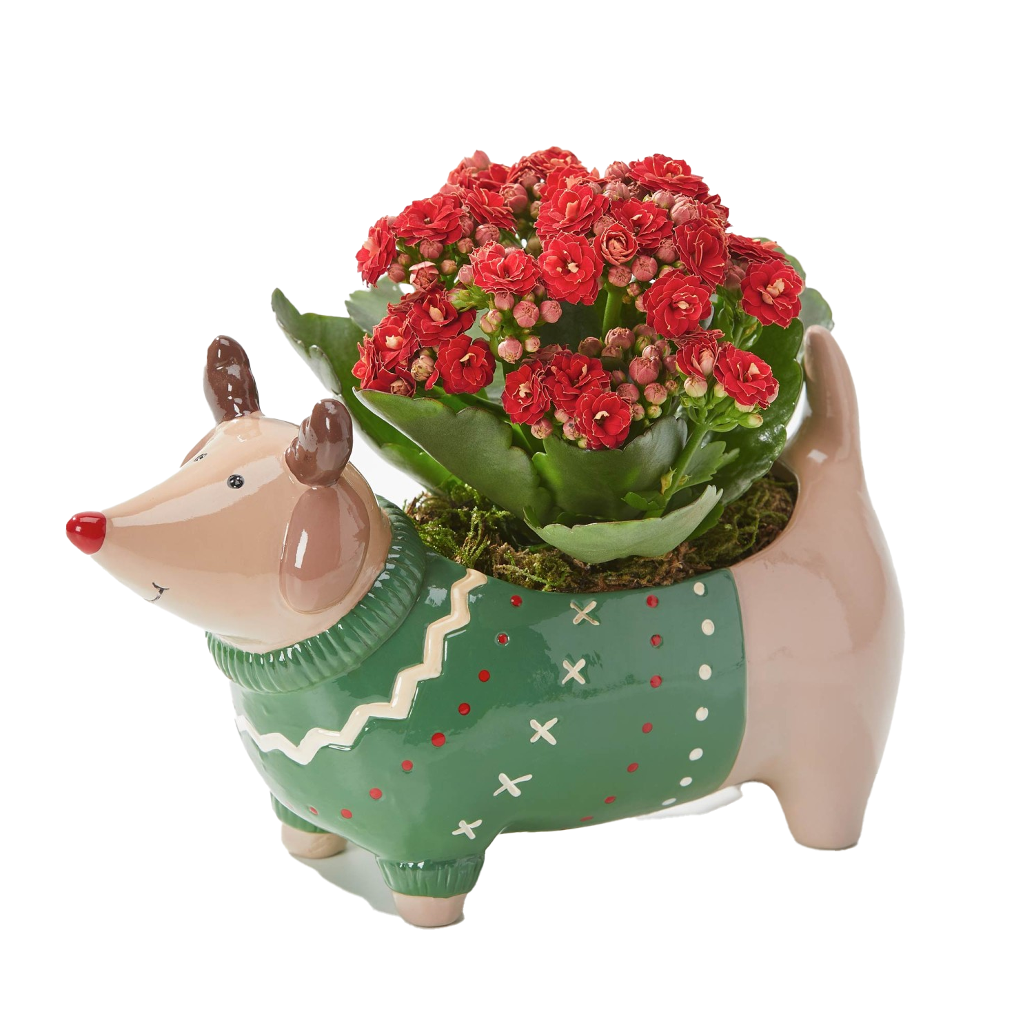 Dasher-Dog-Planter-cut-out