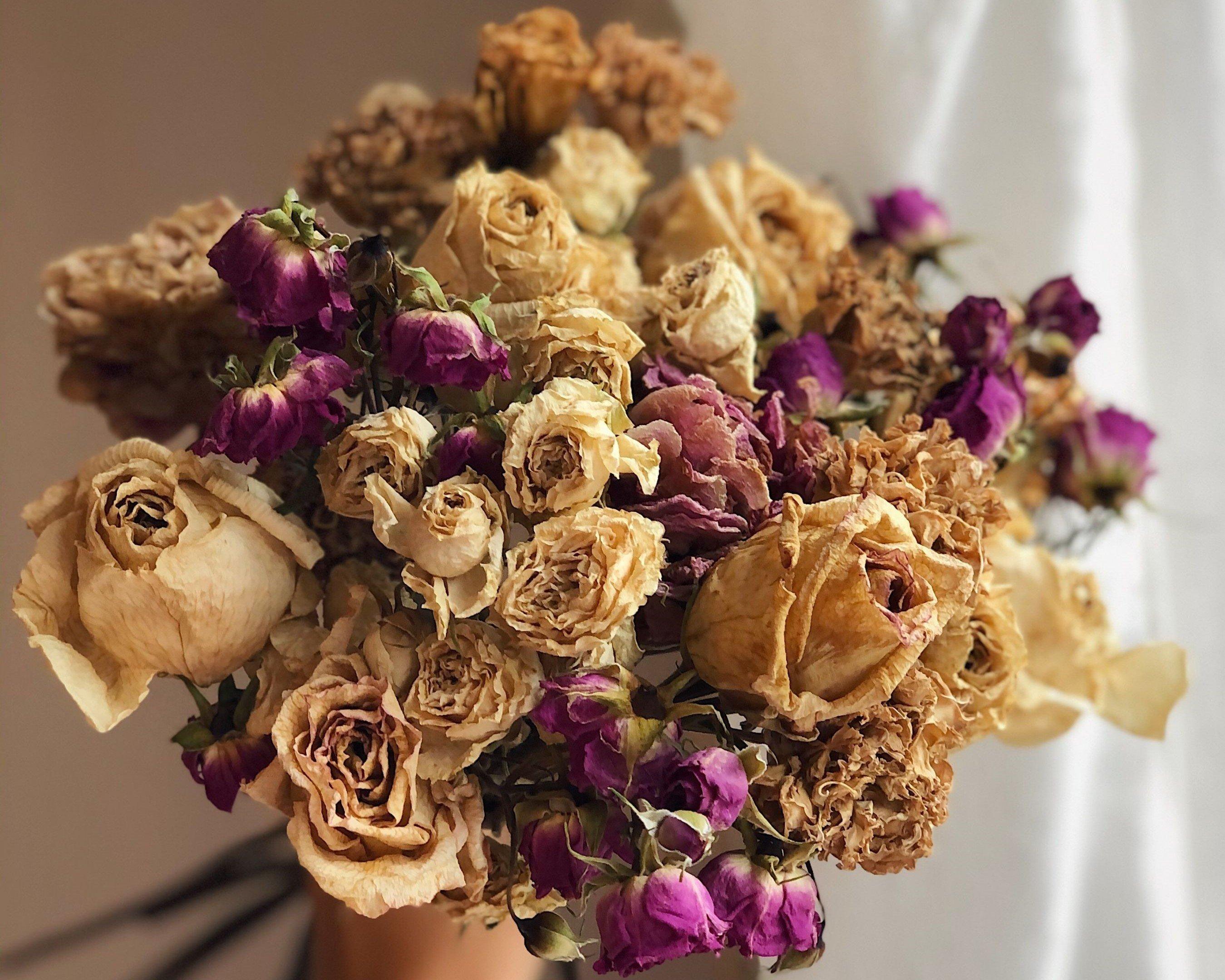 Dried-flowers