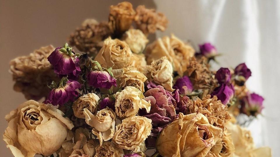 Dried-flowers