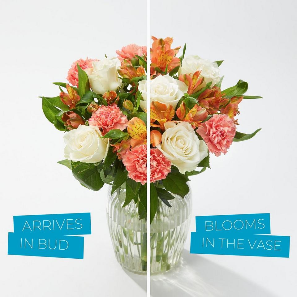 Arrives in bud so they get all the joy of them blooming