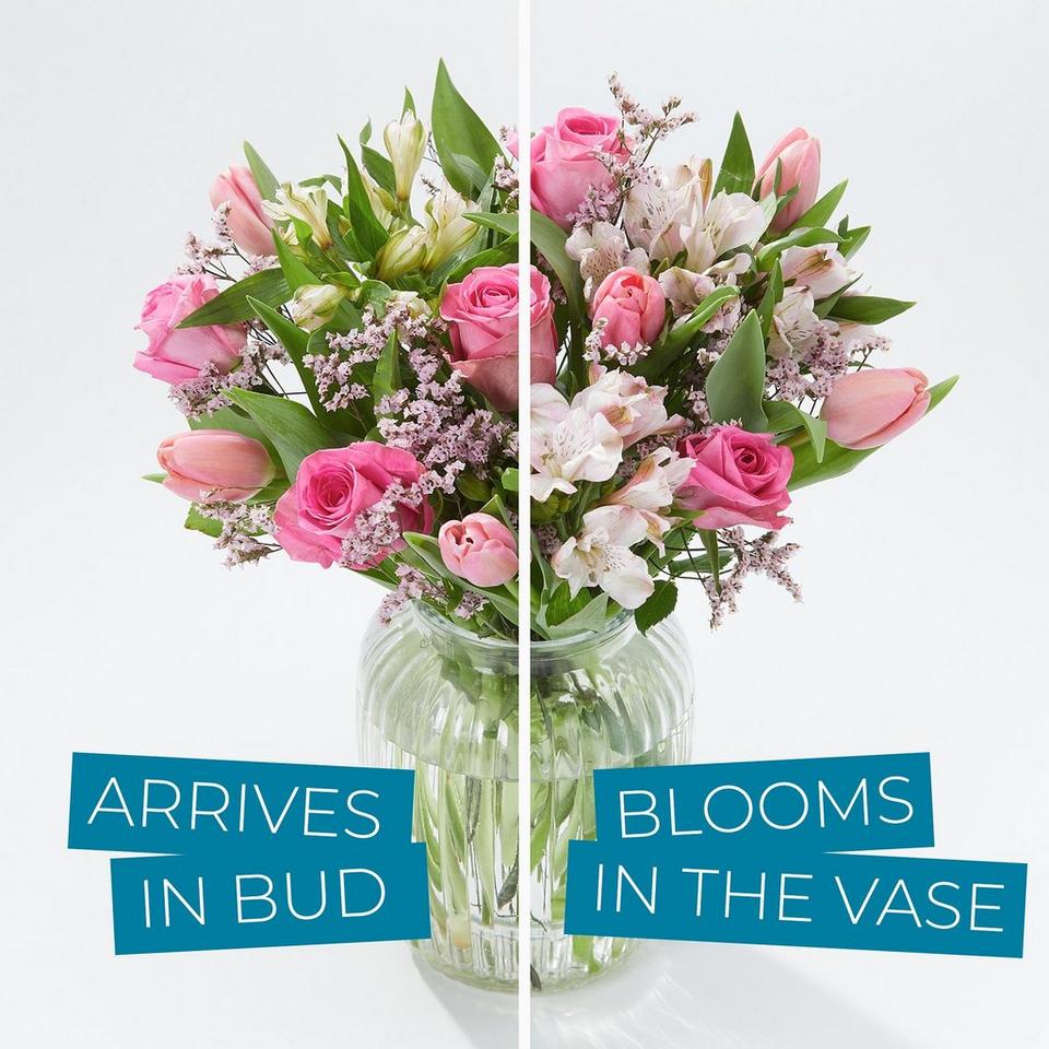 Arrives in bud so they get all the joy of them blooming