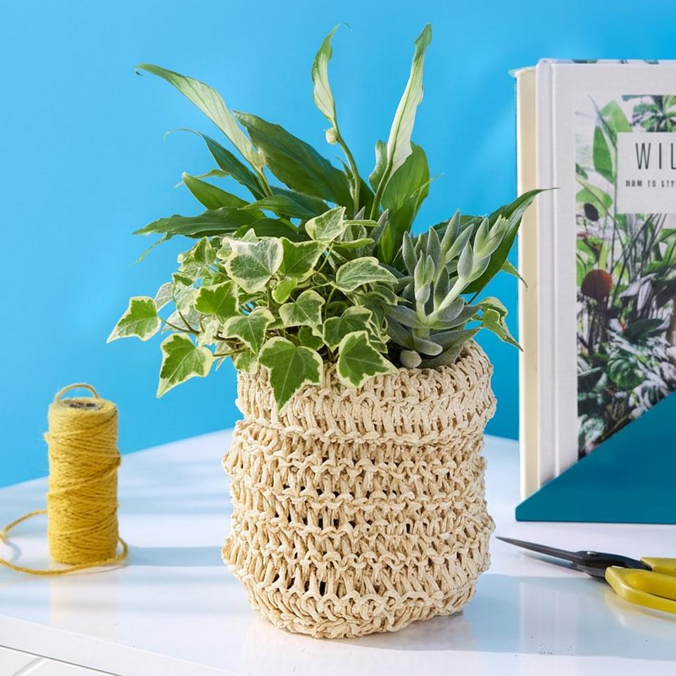 Letterbox Lily Loveliness