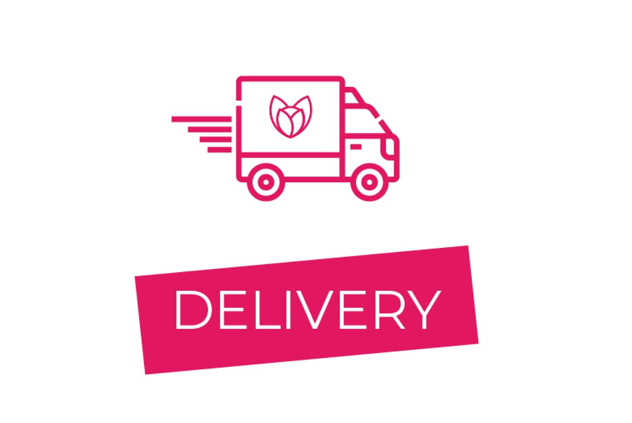 FF Delivery USP Icon