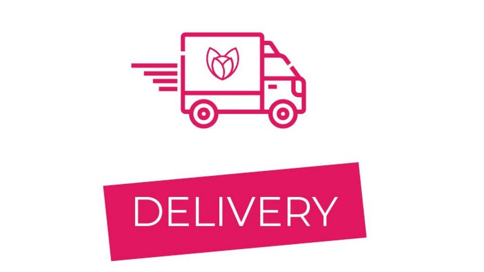 FF Delivery USP Icon