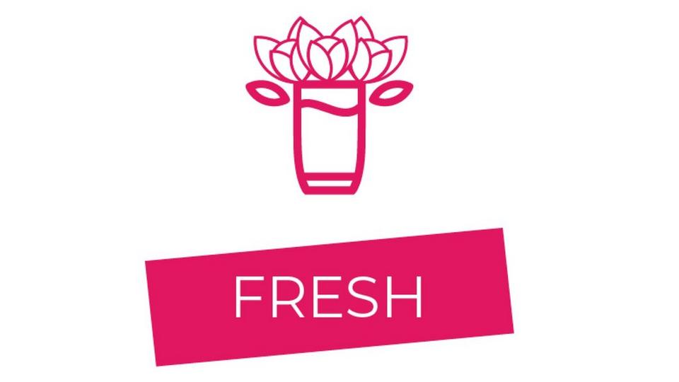 FF Fresh USP Icon