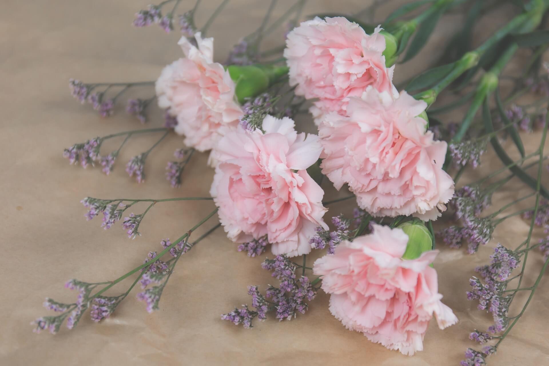 FF SEO_birthMonthFlowers_carnations