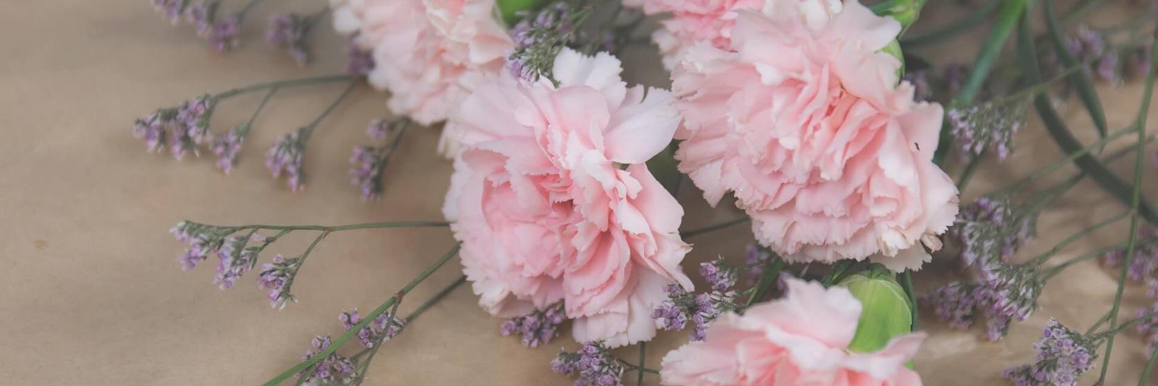 FF SEO_birthMonthFlowers_carnations