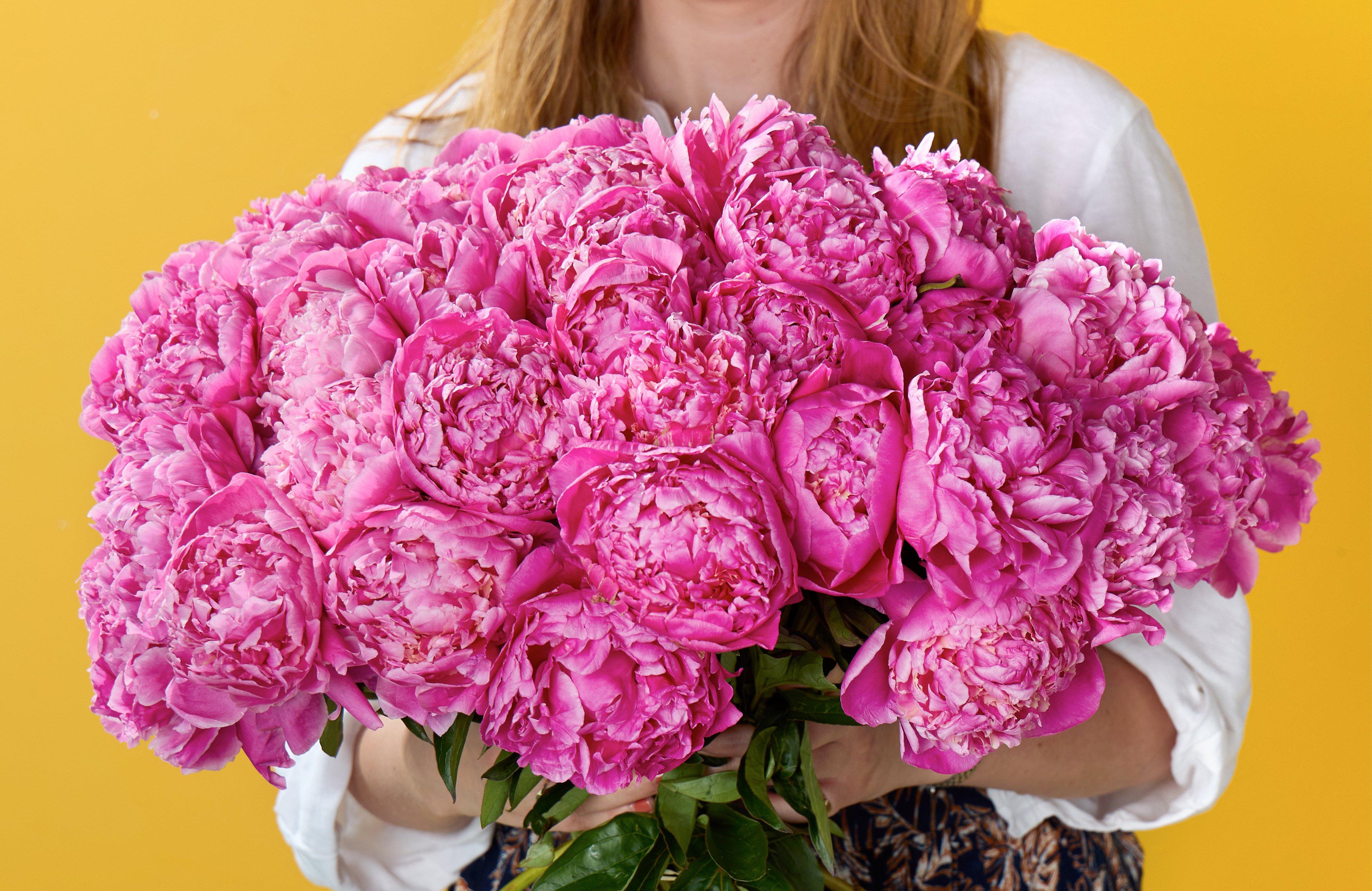 FF-peony-spotlight-banner