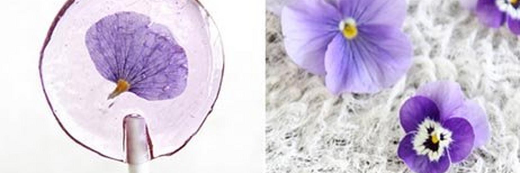 FF_FlowerLolly