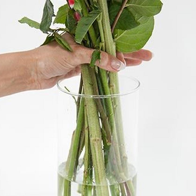 FF_FlowersFresh_BackinWater-1