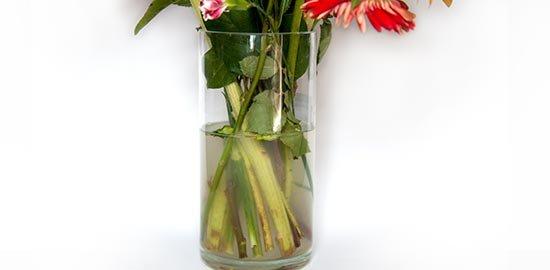 FF_FlowersFresh_CloudyVase