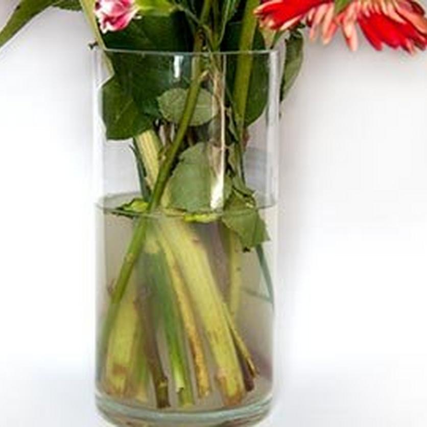 FF_FlowersFresh_CloudyVase