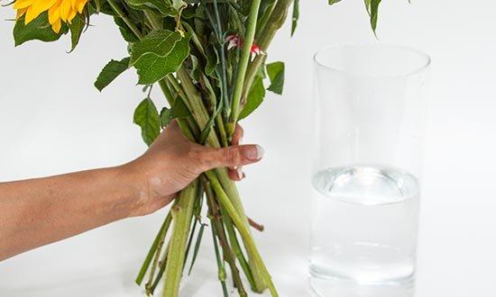 FF_FlowersFresh_Measure-1 (1)