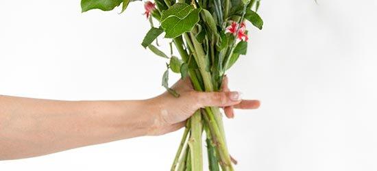 FF_FlowersFresh_StemsHandle-2