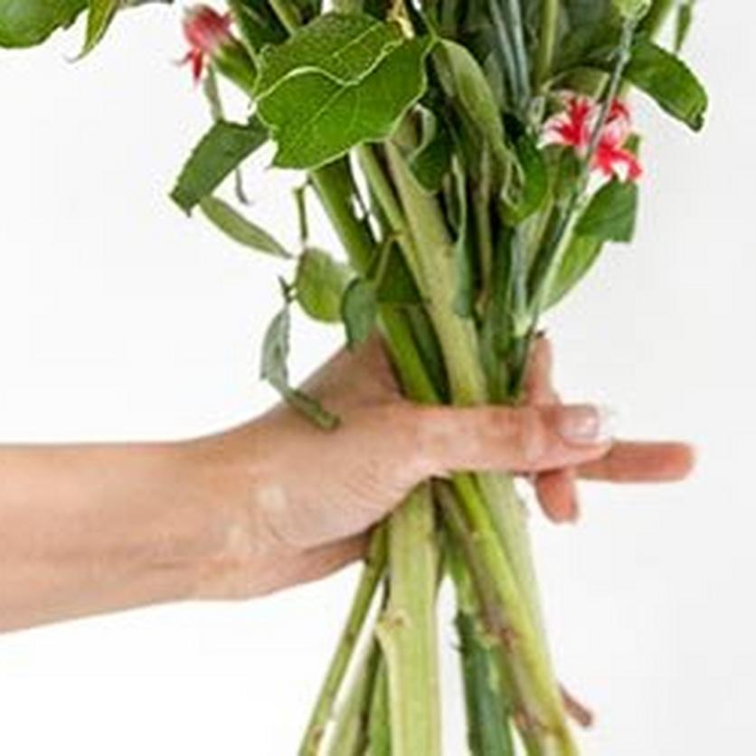 FF_FlowersFresh_StemsHandle-2