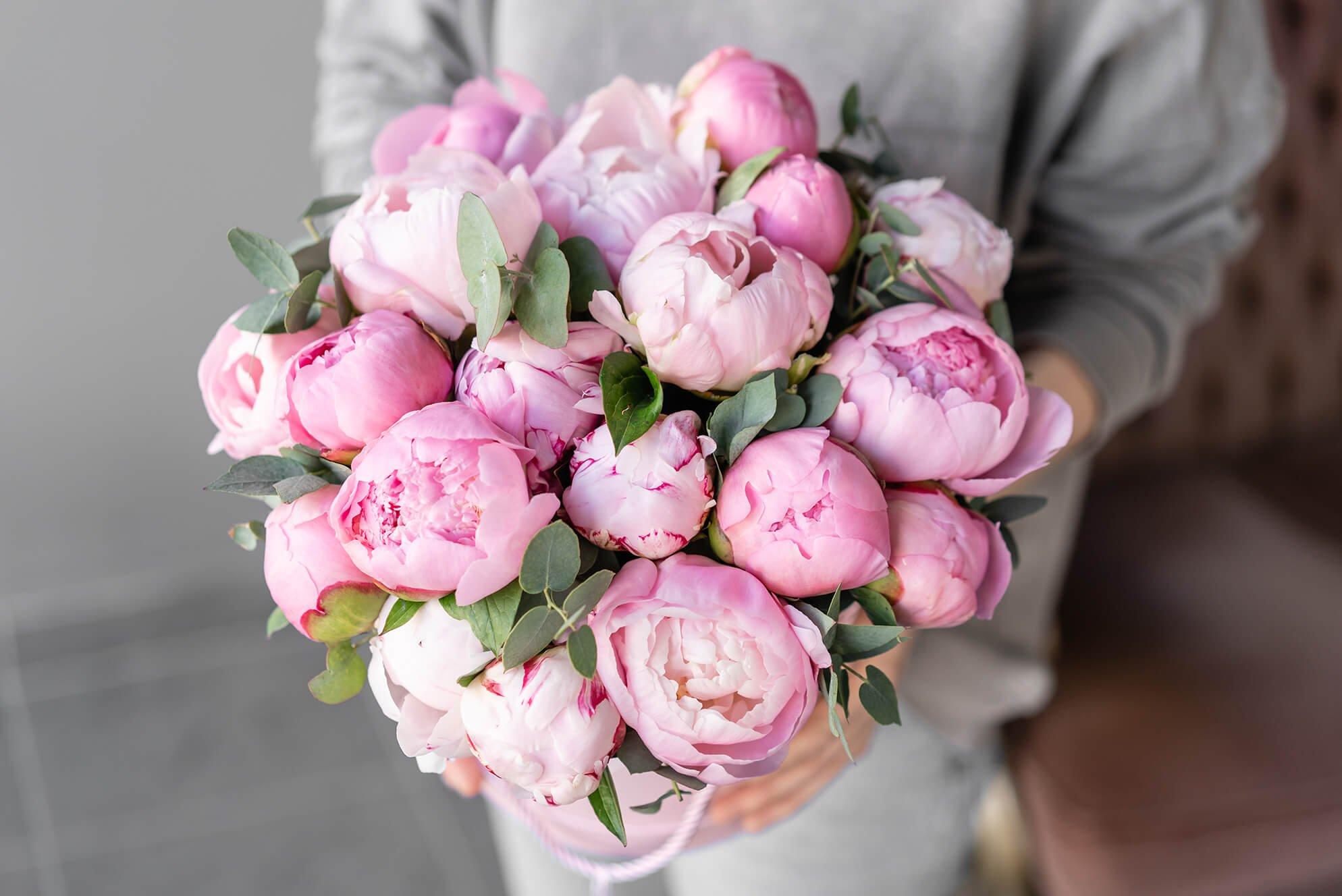 FFpeonies_uses