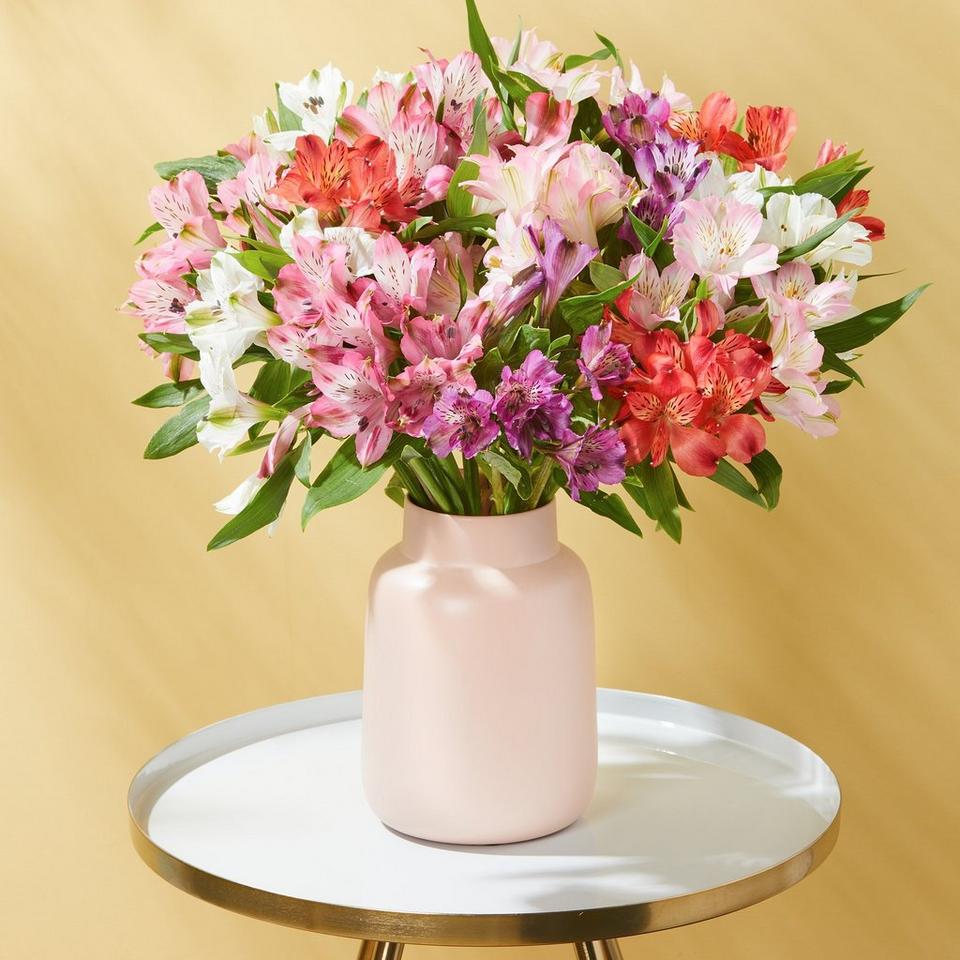 Deluxe Amazing Alstroemeria