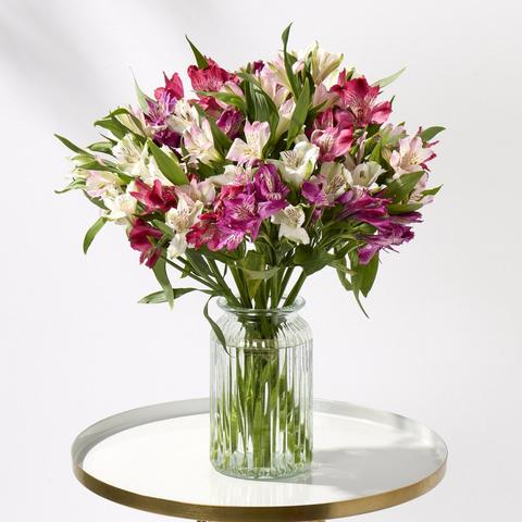 Deluxe Amazing Alstroemeria
