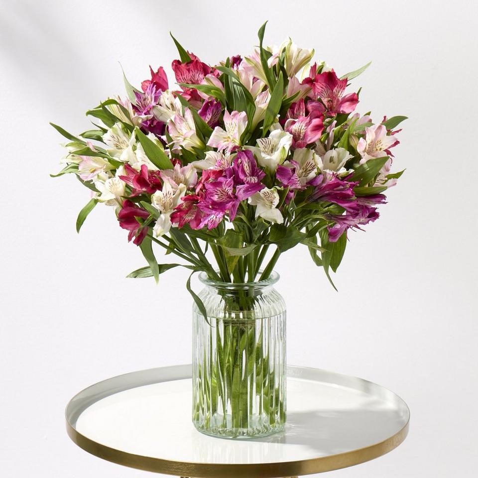 Deluxe Amazing Alstroemeria