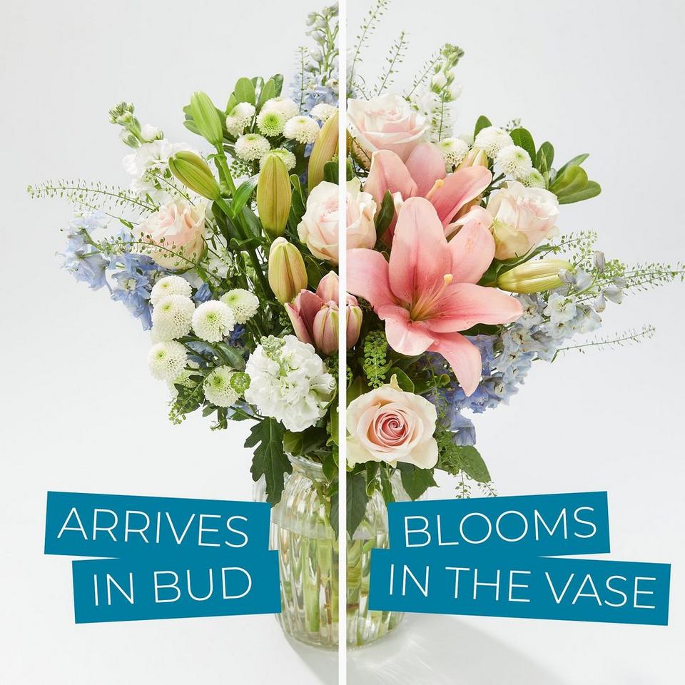Arrives in bud so they get all the joy of them blooming