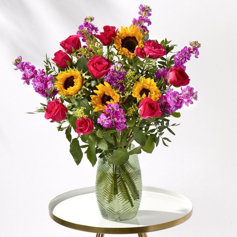 Vibrant Burst + 50% Extra Free