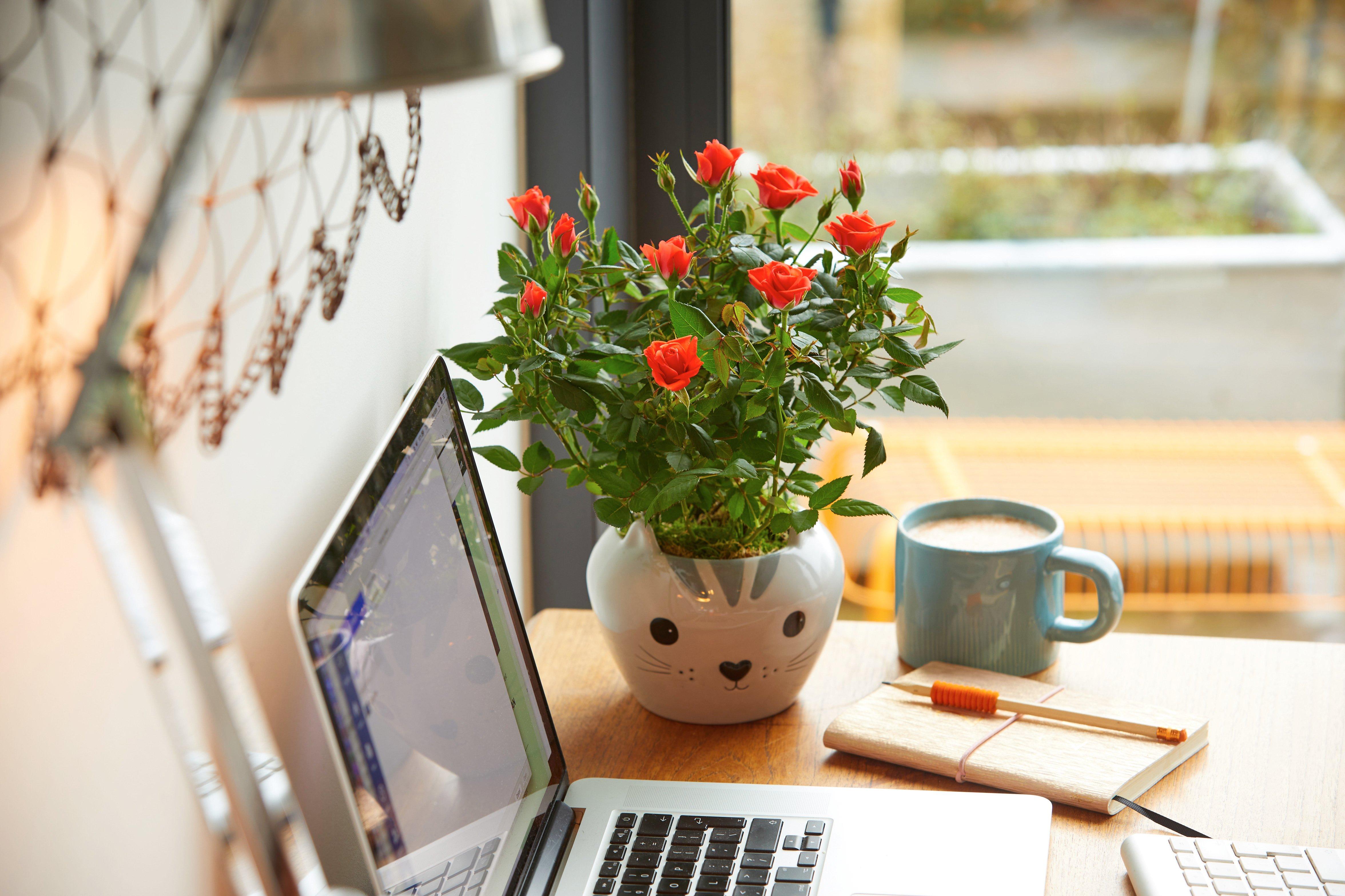 FLYFlowers280121-FC06211P