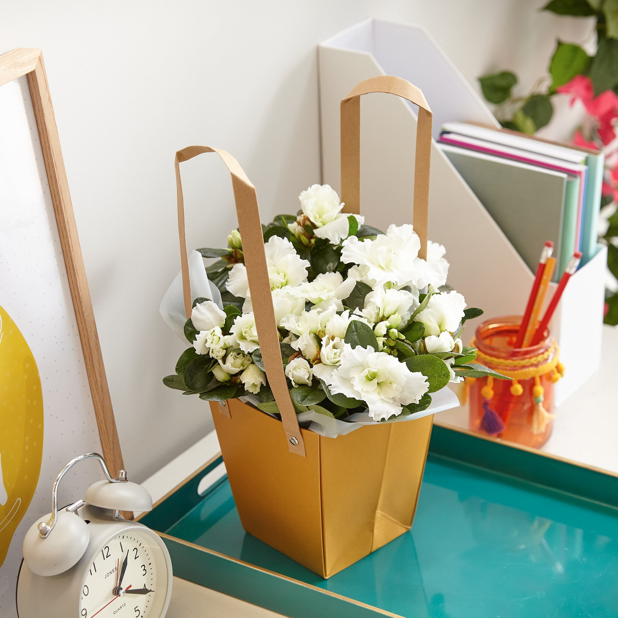 Click to view product details and reviews for Uplifting Azalea. Click to view product details and reviews for Uplifting Azalea.