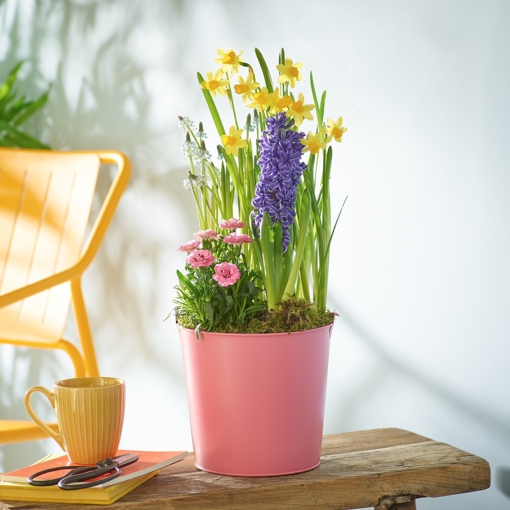 Click to view product details and reviews for Uplifting Spring Pot. Click to view product details and reviews for Uplifting Spring Pot.