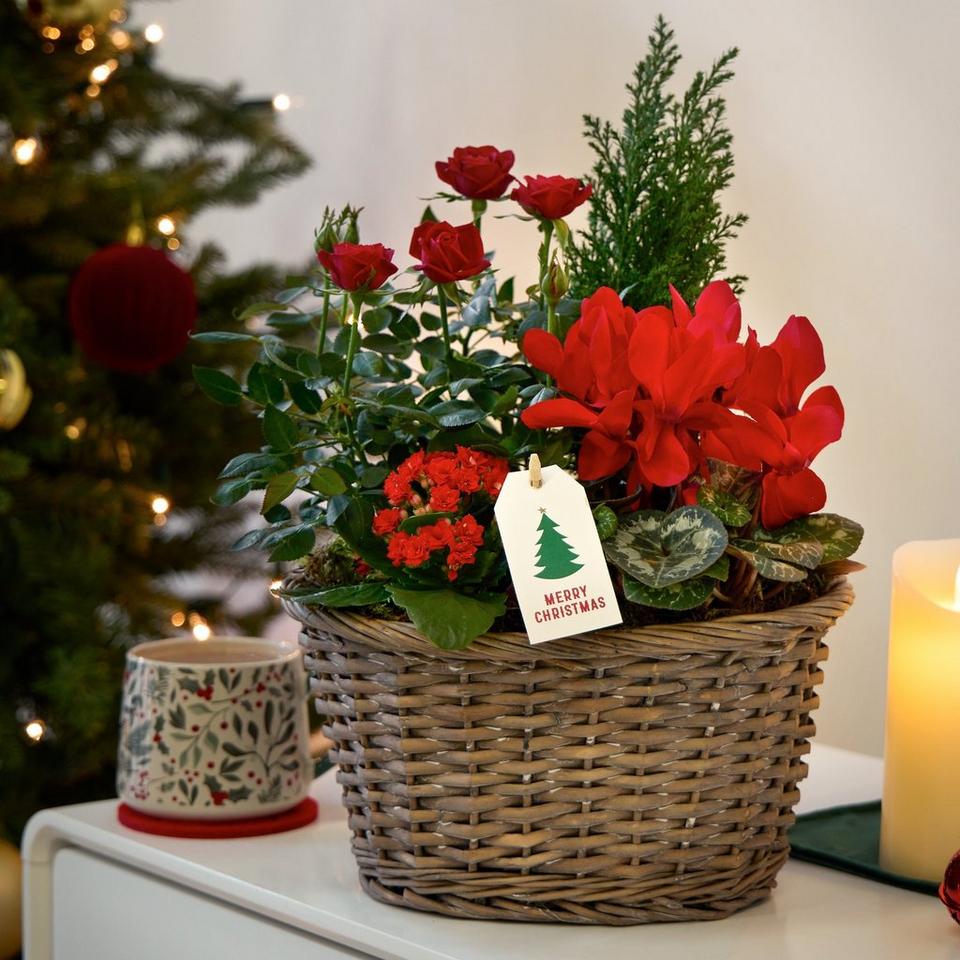 Deluxe Christmas Basket