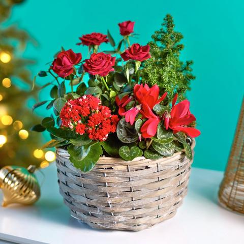 Deluxe Christmas Basket