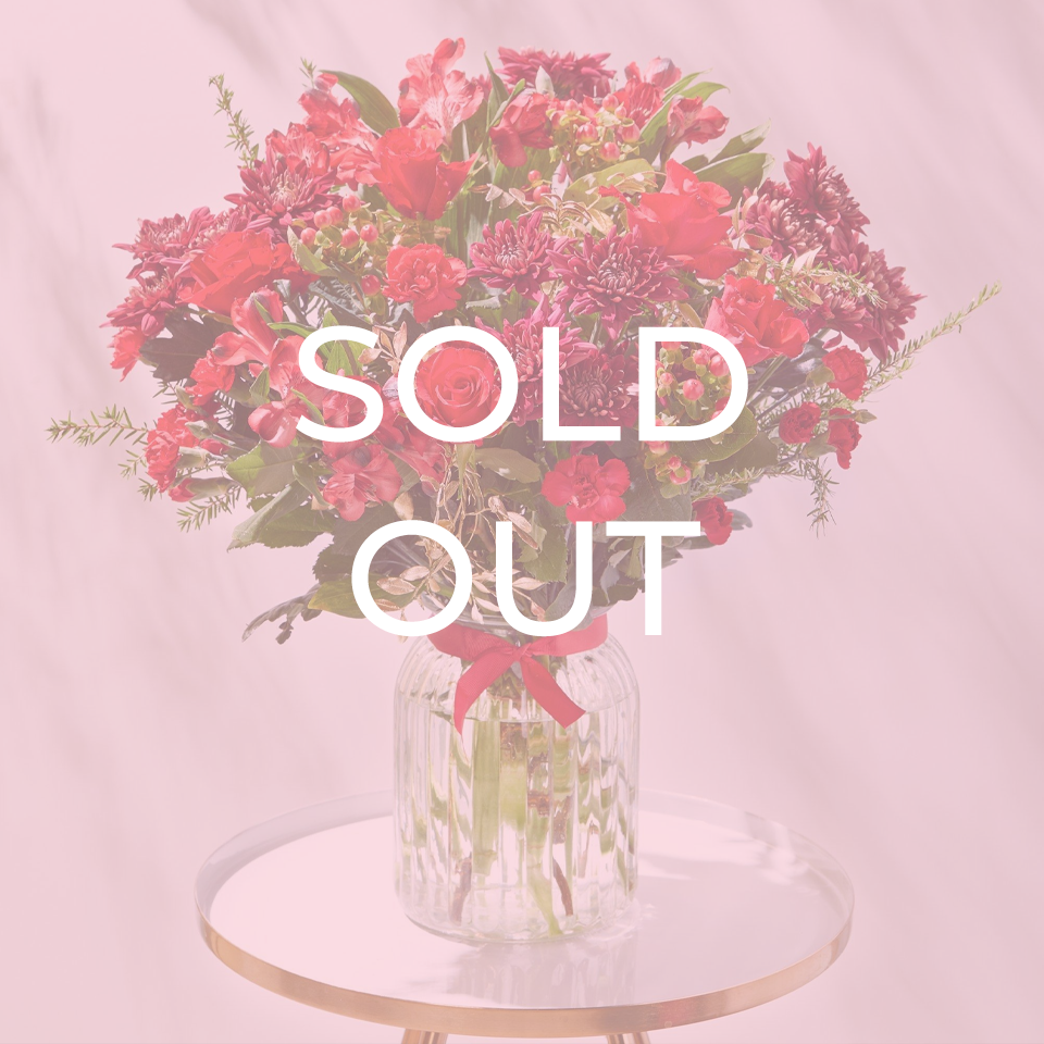 Christmas Celebration - Save 40%