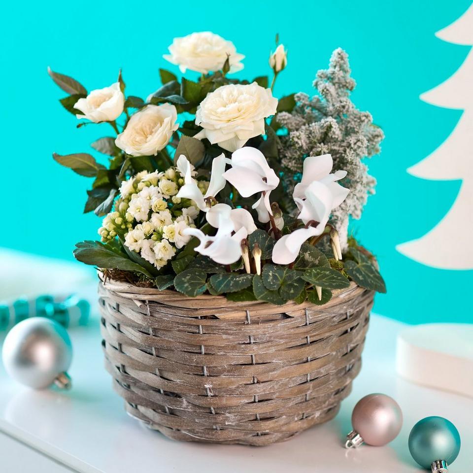 Luxury Winter Basket