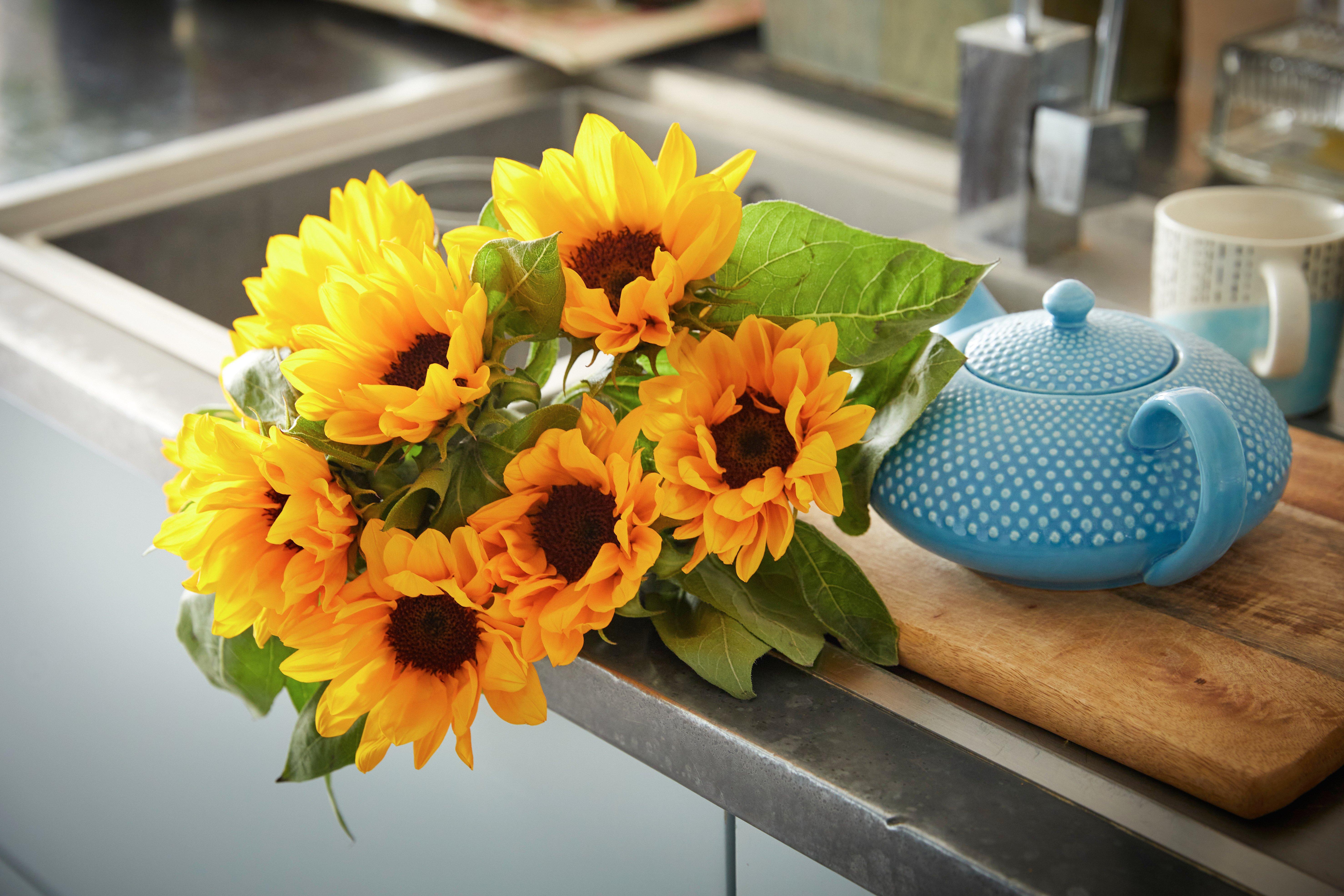 Flower Delivery Free UK Delivery Flying Flowers