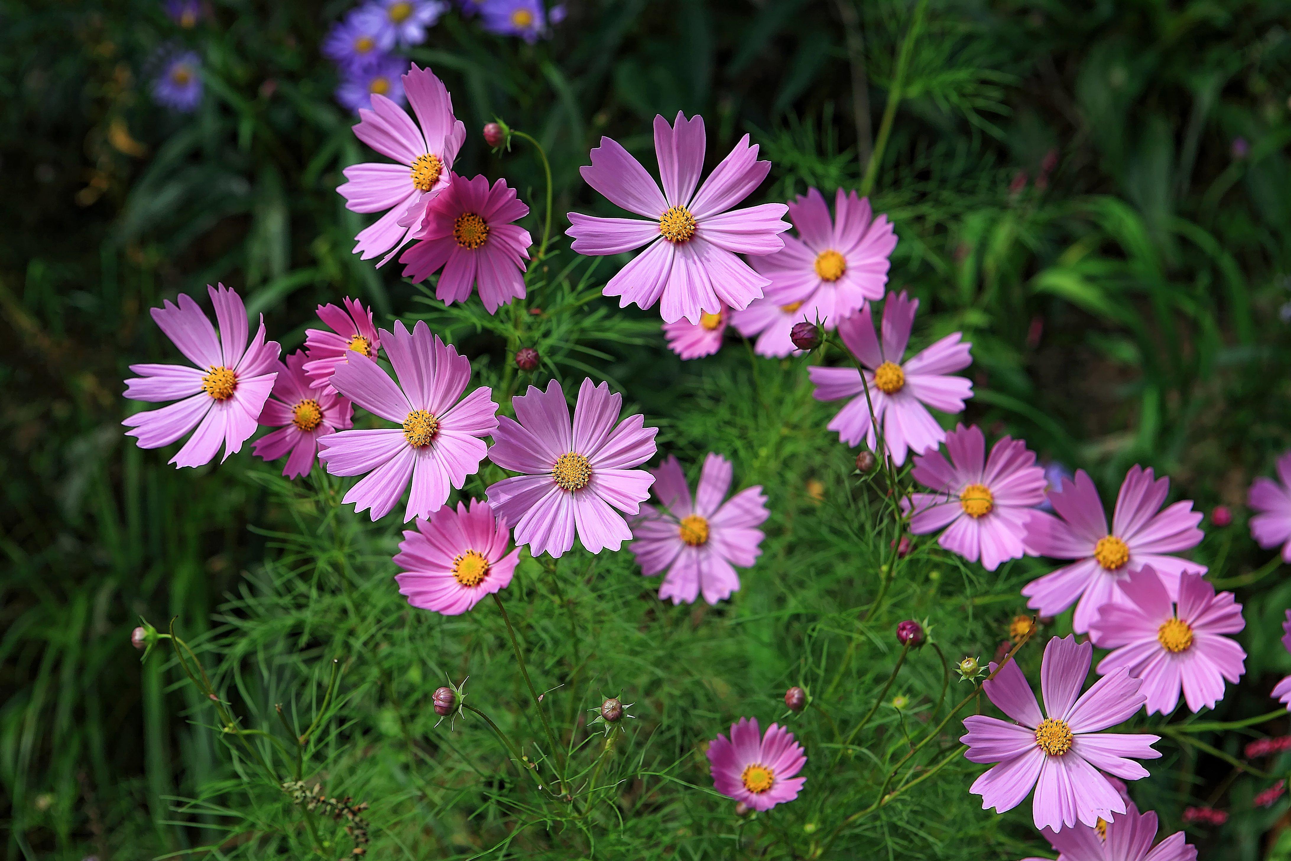 GettyImages-1159726068