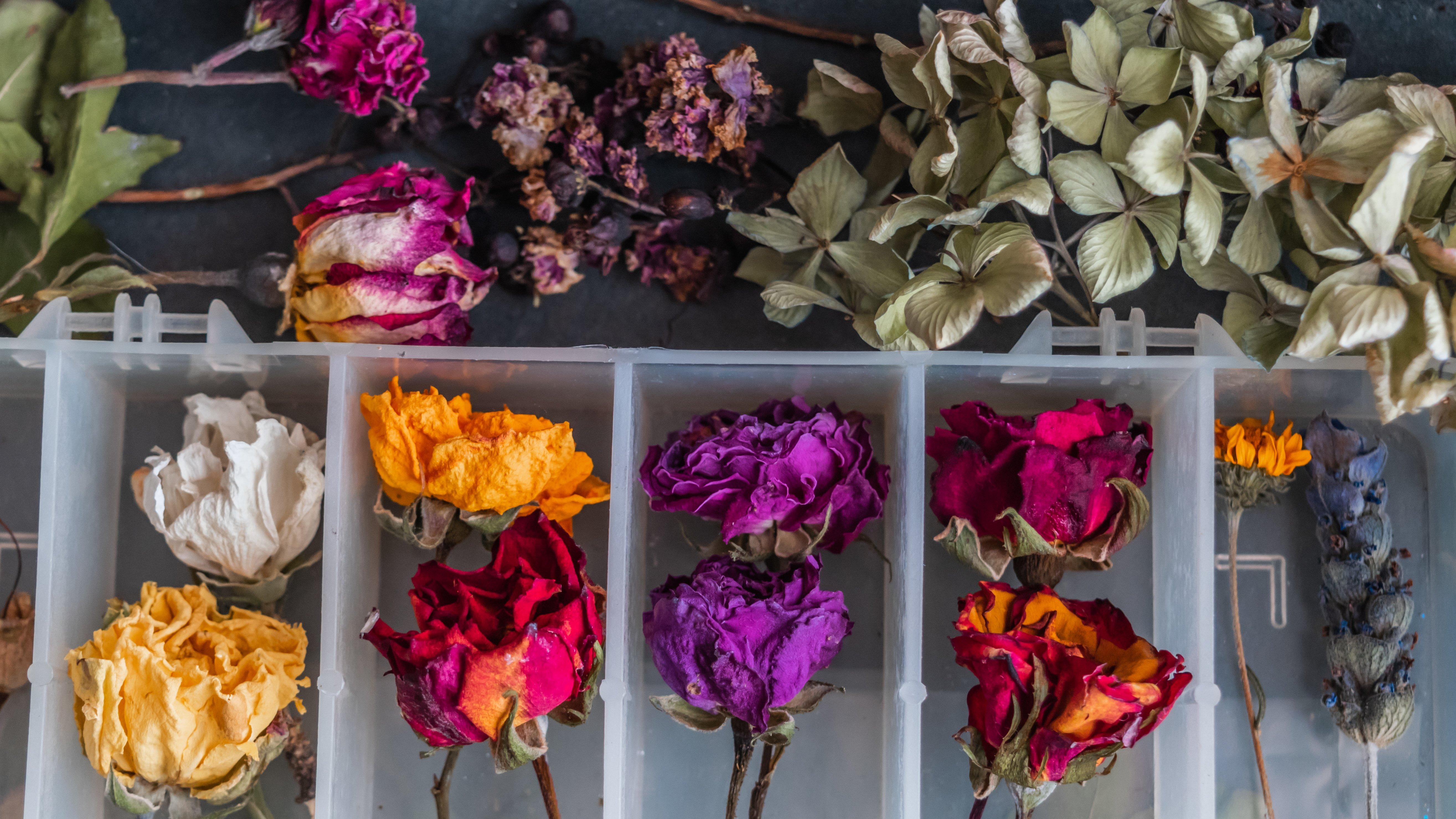 GettyImages-1270699864