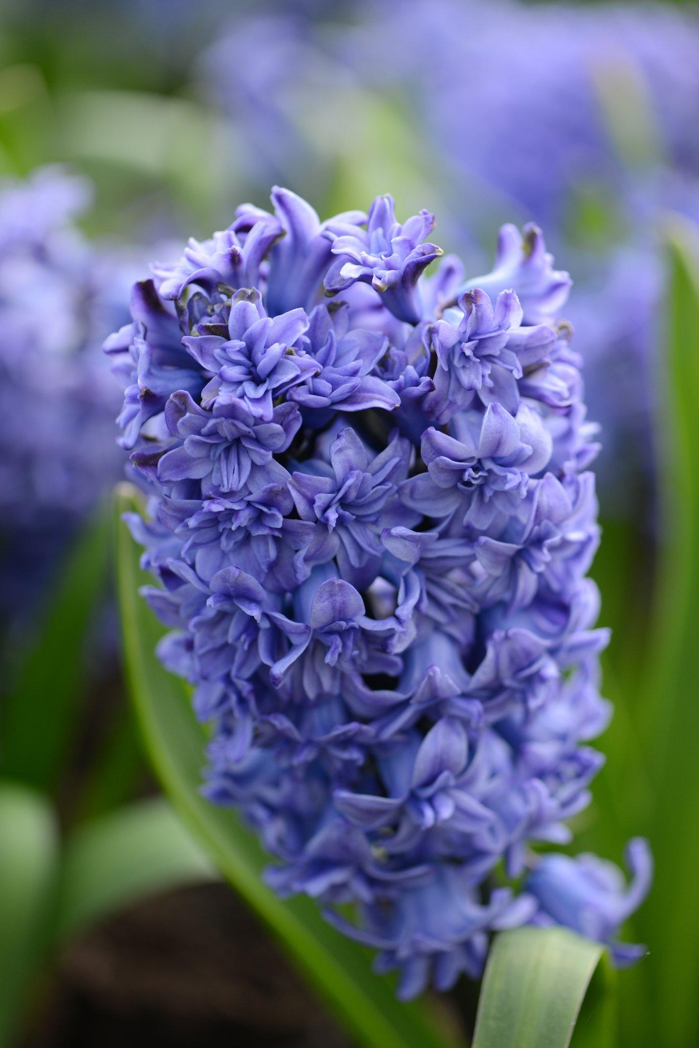 GettyImages-1317317824