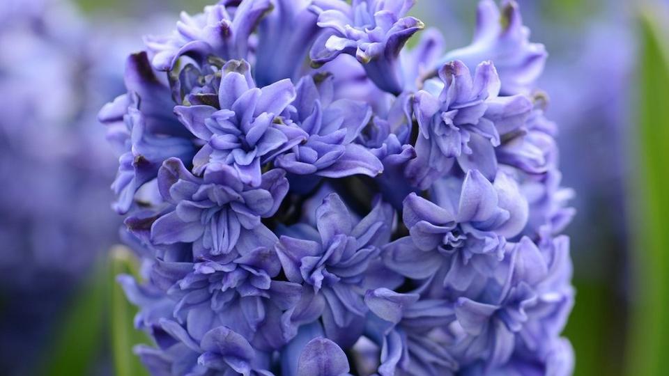 GettyImages-1317317824