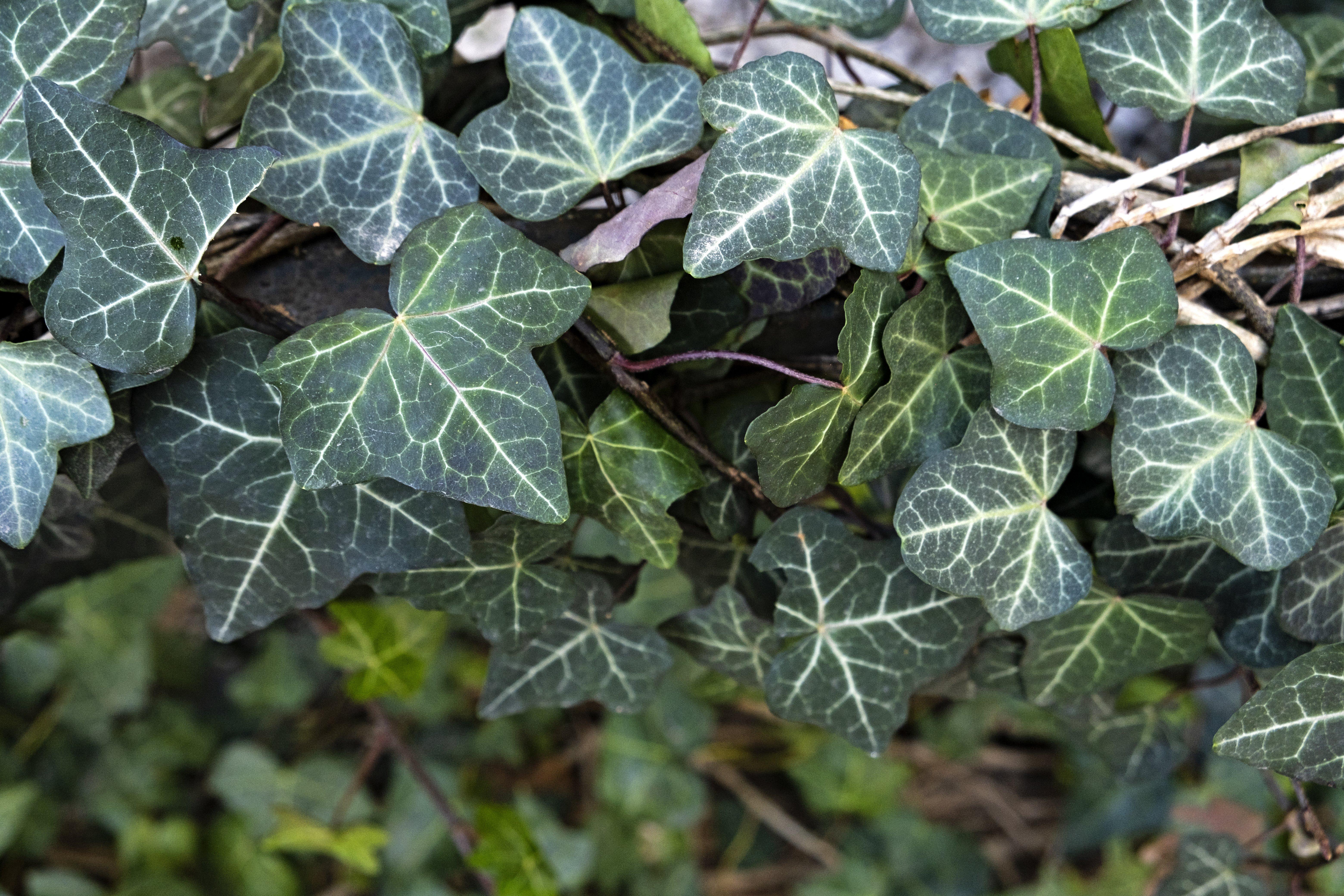 GettyImages-1475076216