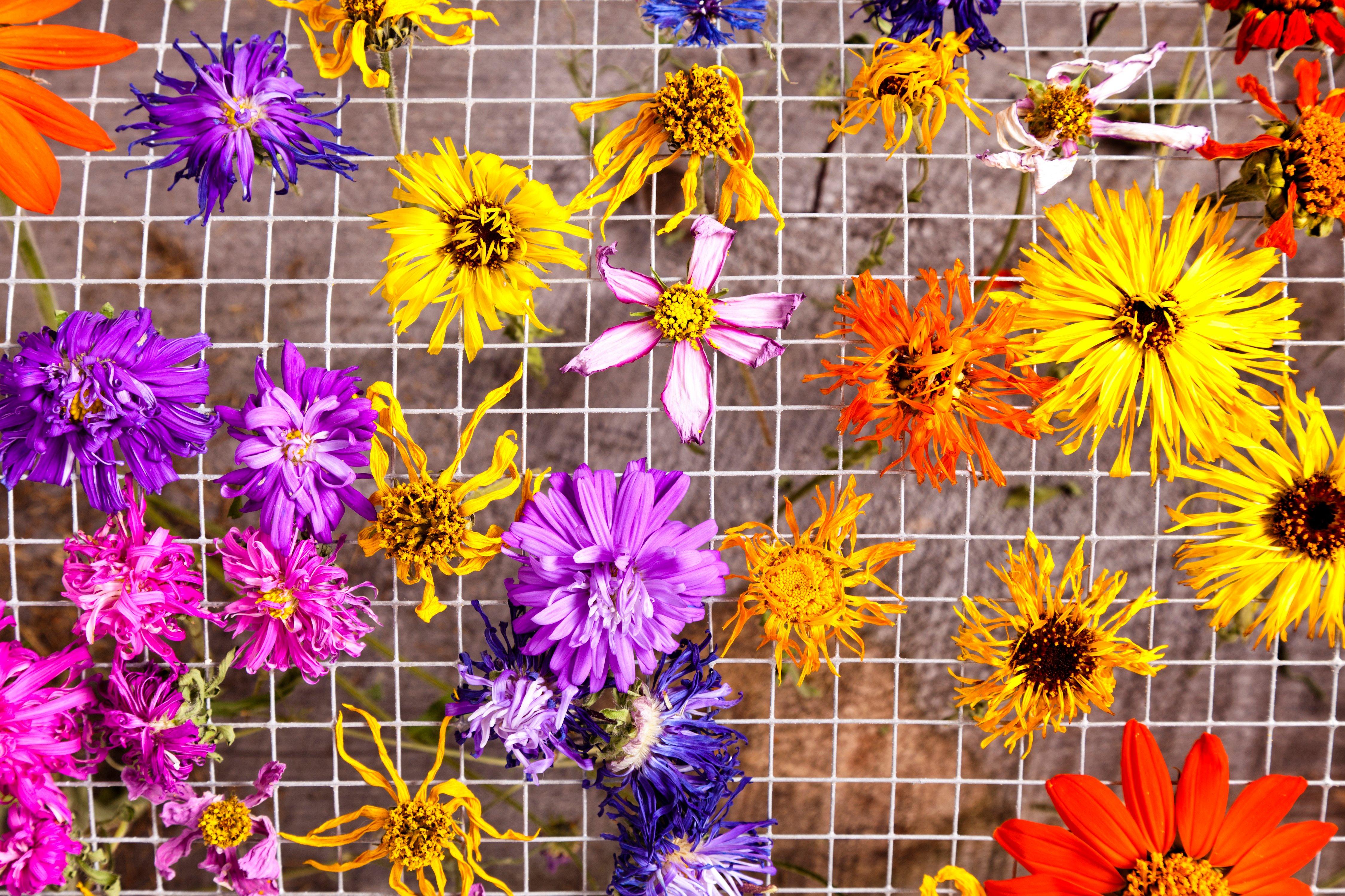 GettyImages-184367890