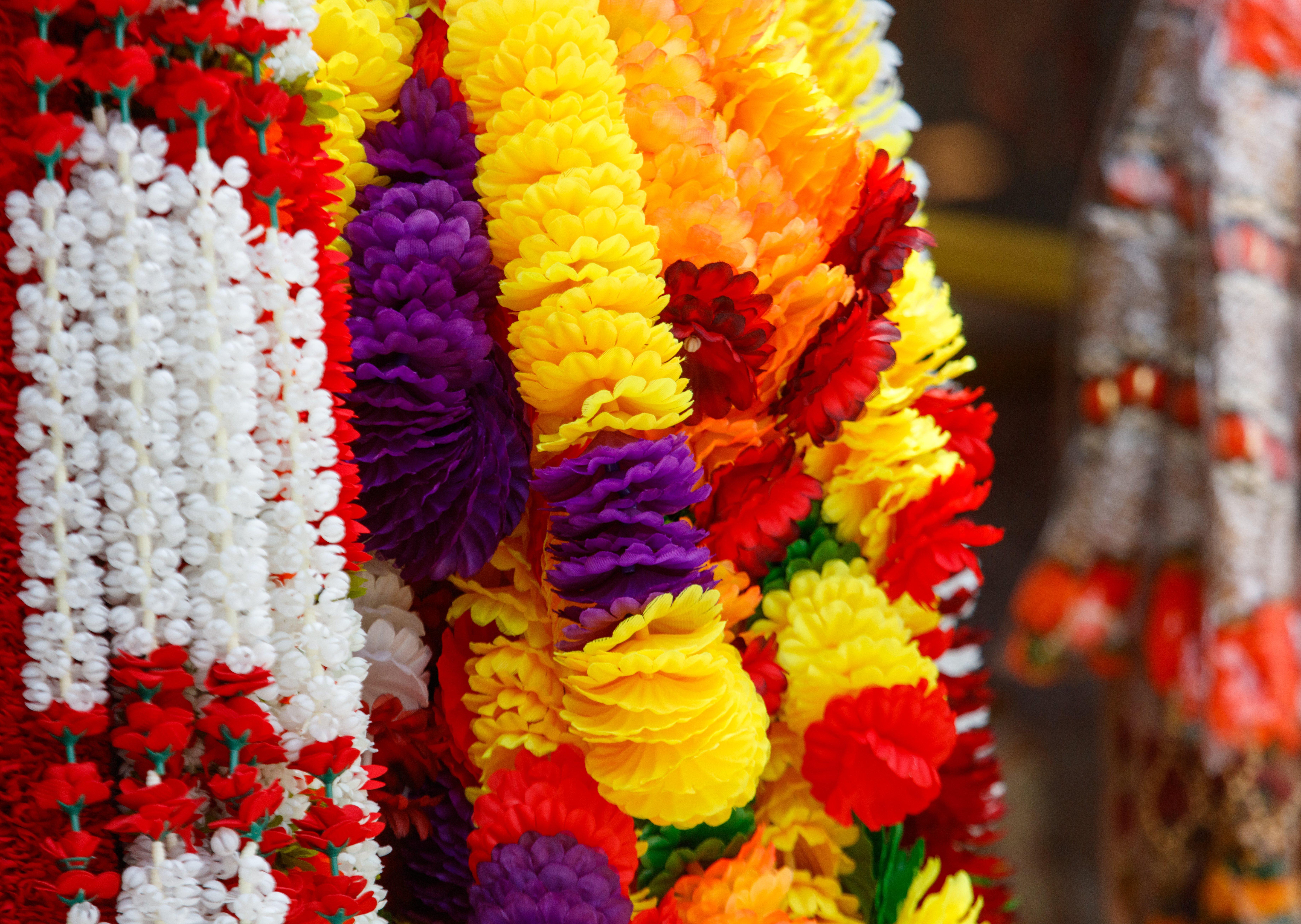 GettyImages-2208248320